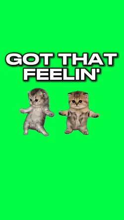 GOT THAT FEELIN CATS