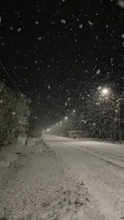 Snowy night