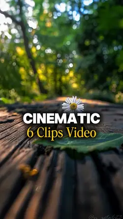 6 CLIPS VIDEO