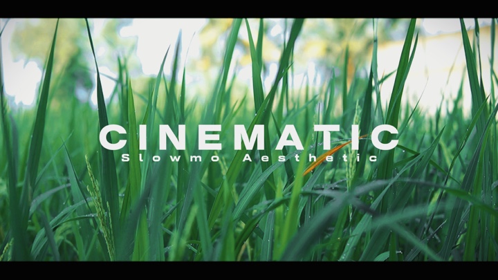 Cinematic Aesthetic 
