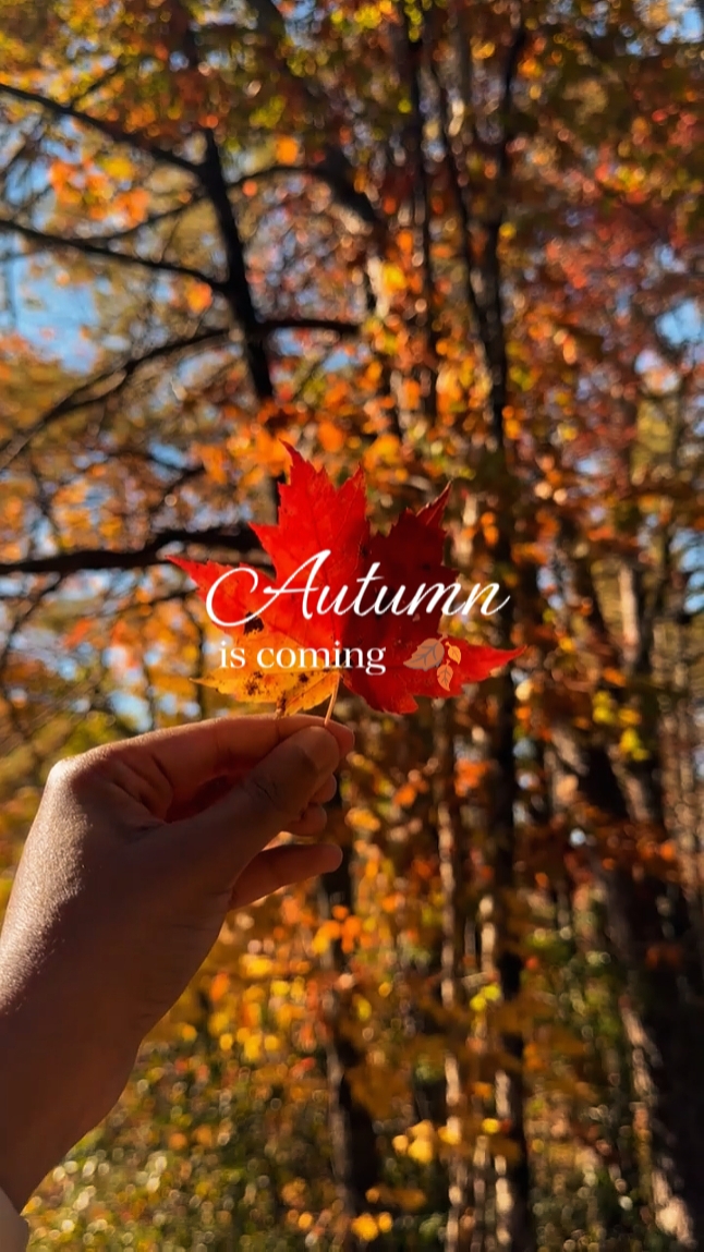 Autumn is coming