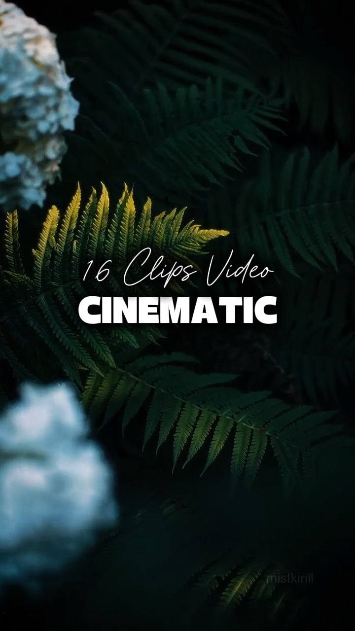 16 Video Sinematik 