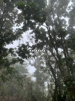 kata kata eripras