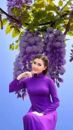 Nhạc trữ tình