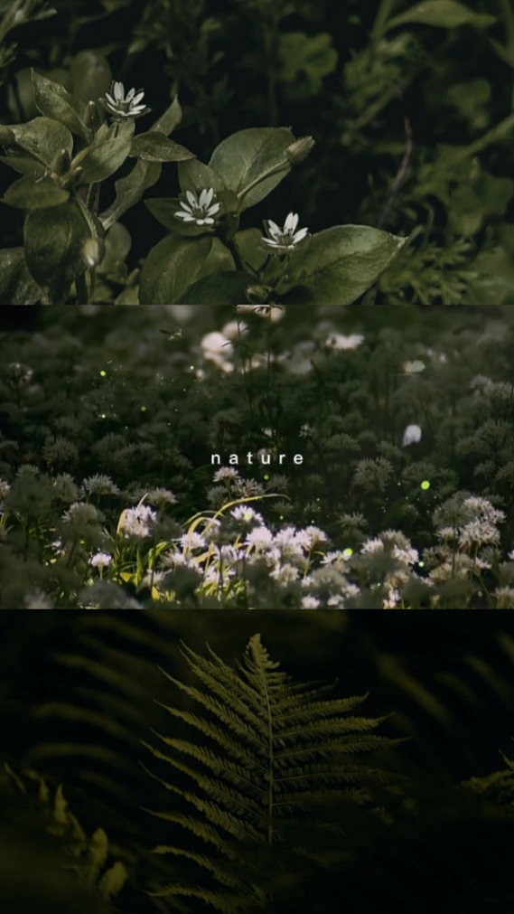 nature