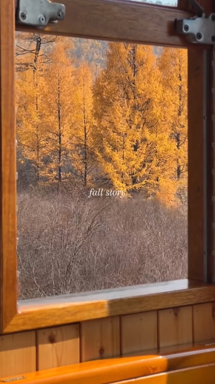 Histoire d'automne 