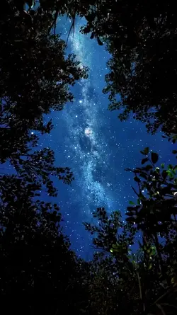 STAR GAZING