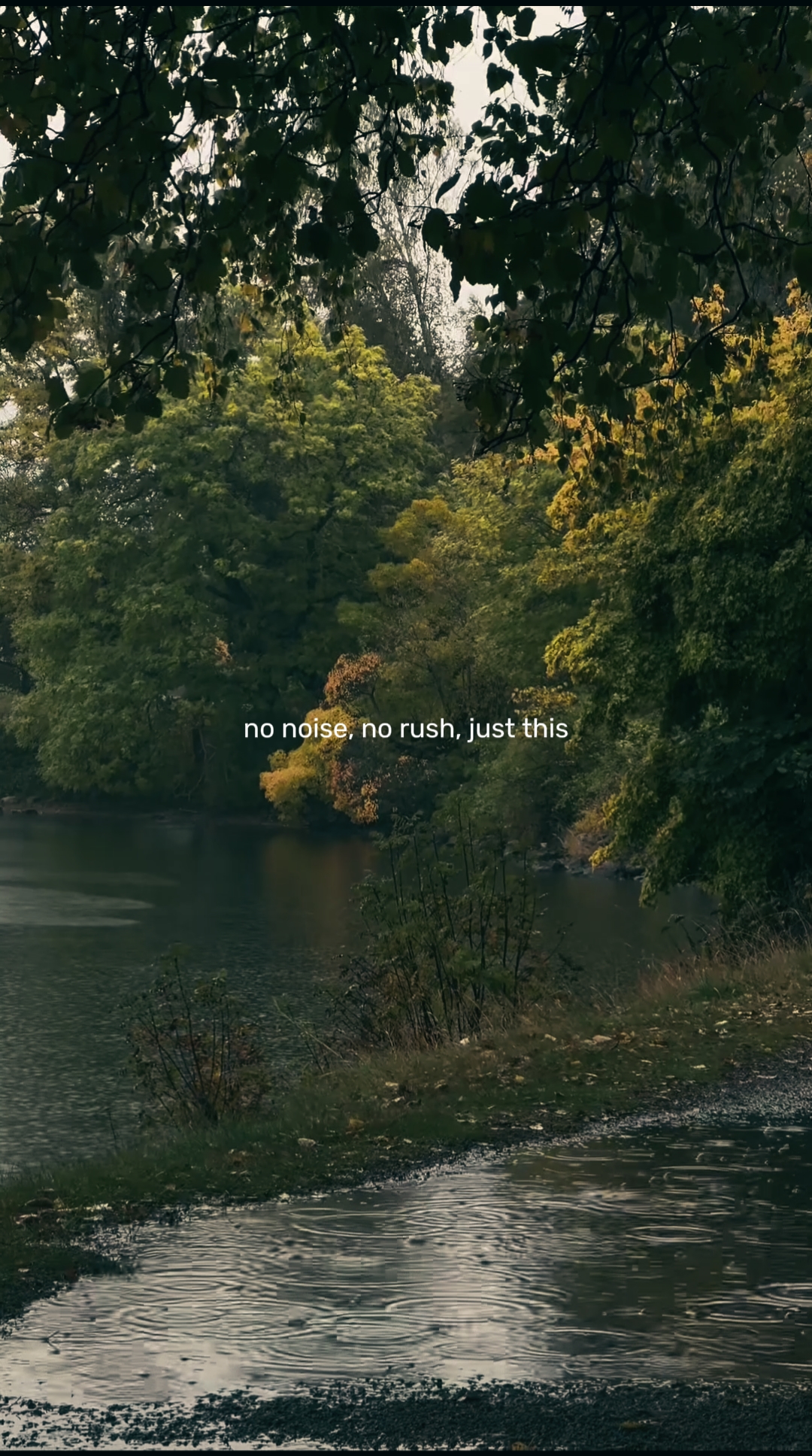 no noise, no rush, j