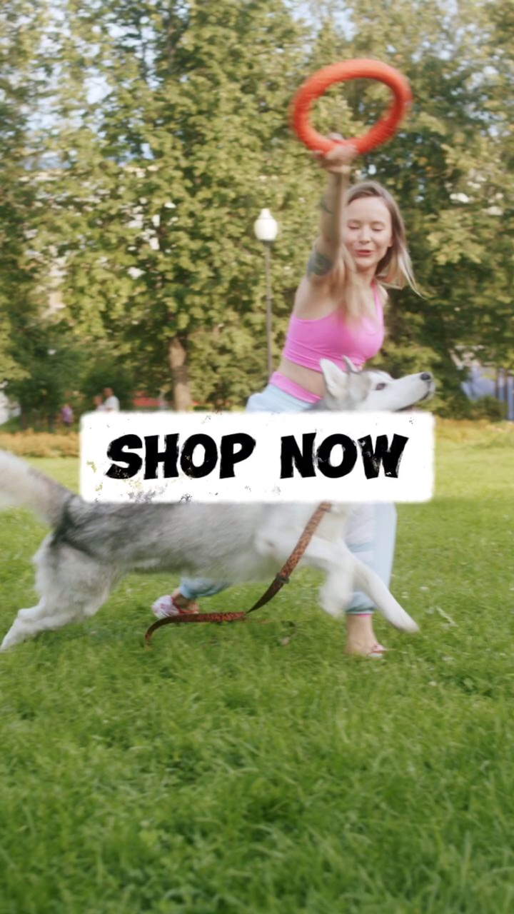 Plantilla de Promoción de Juguete para Perros Estilo TikTok
