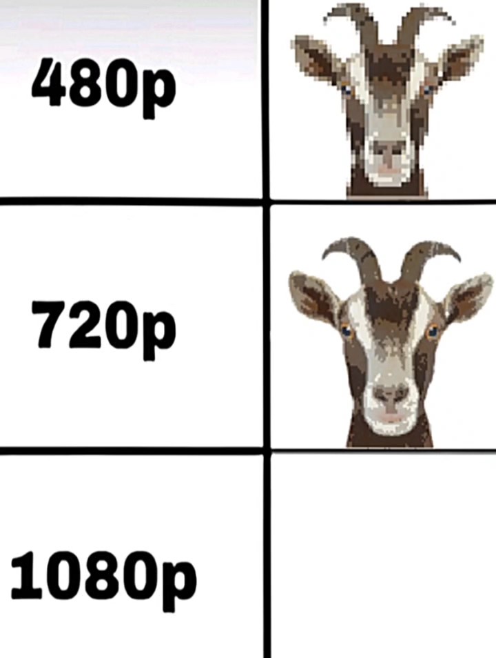 Tendência boa edição