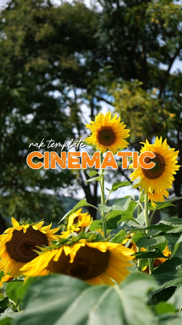 Rak Cinematográfico