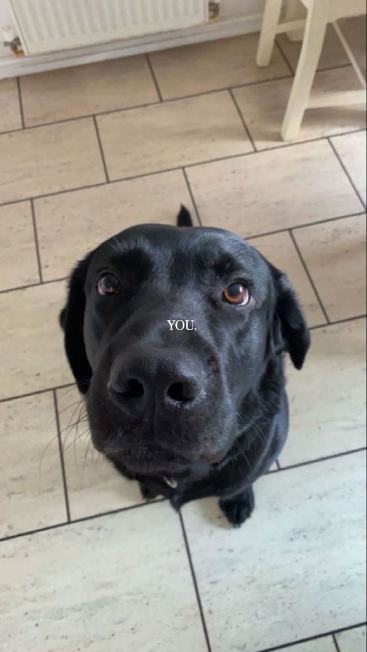 Kümmere dich um dich 🐶