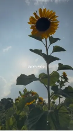 summer🩵フィルム風