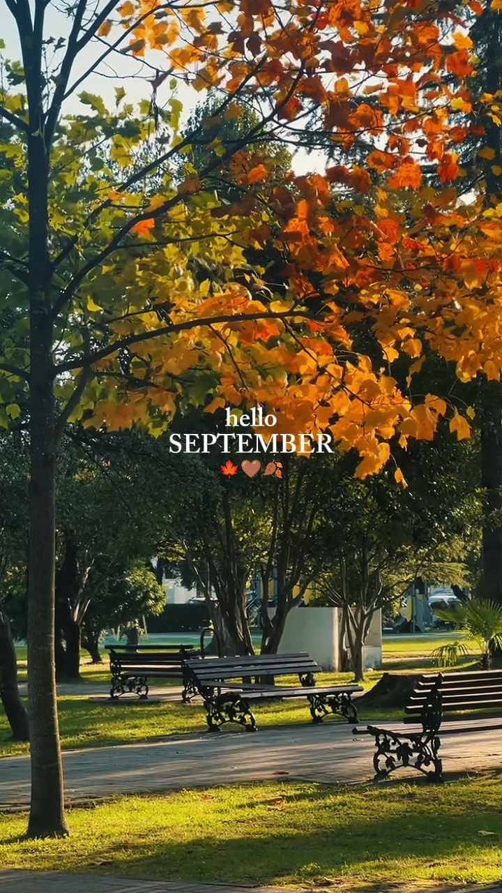 halo september