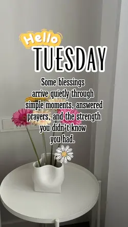 Hello Tuesday
