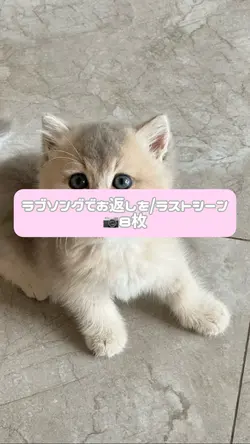 ラブソングでお返しを/ラストシーン