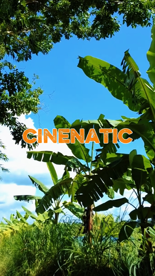 Rak Cinemático