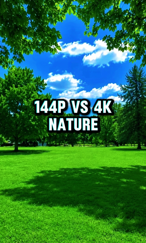Tendencia de 144p vs 4k