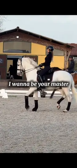 Wanna be your slave
