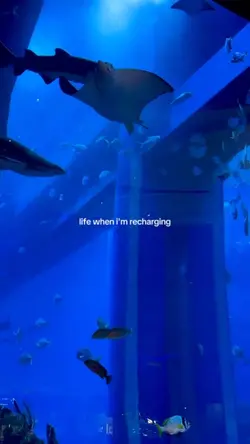 life when i'm rechar