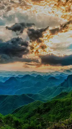 Nature Cinamtic