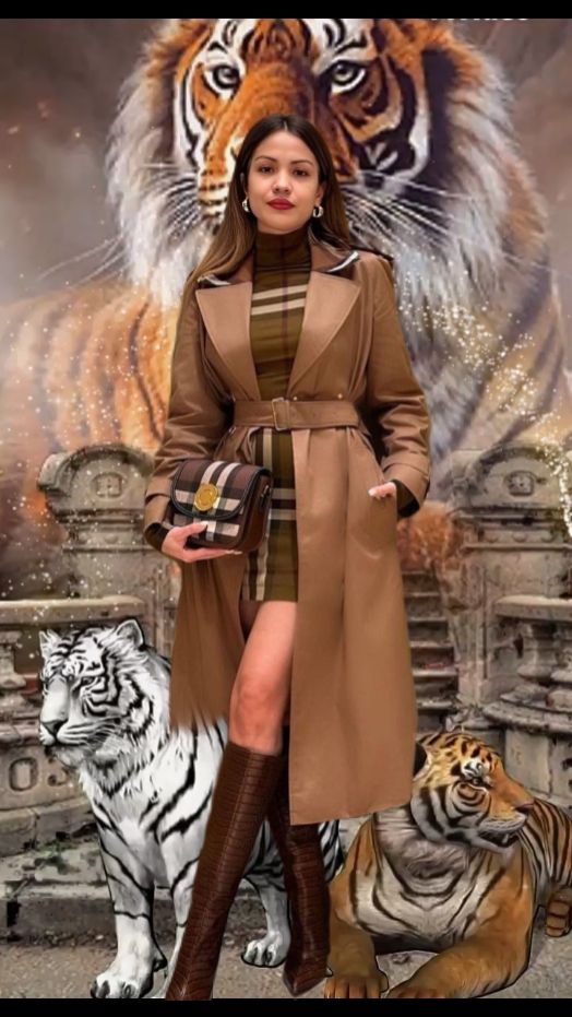 Ladytiger