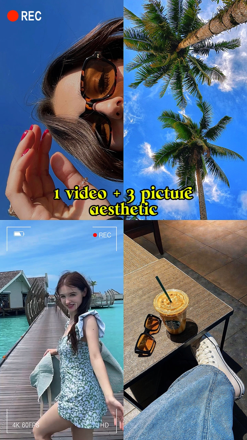 1 vidéo + 3 photos