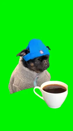 dog estresso