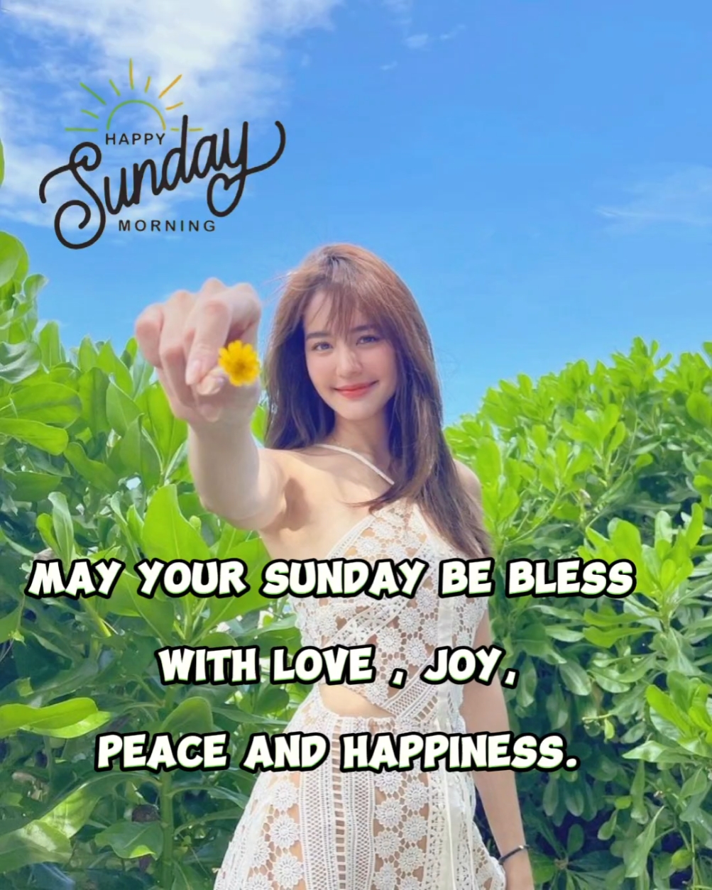 Feliz domingo 