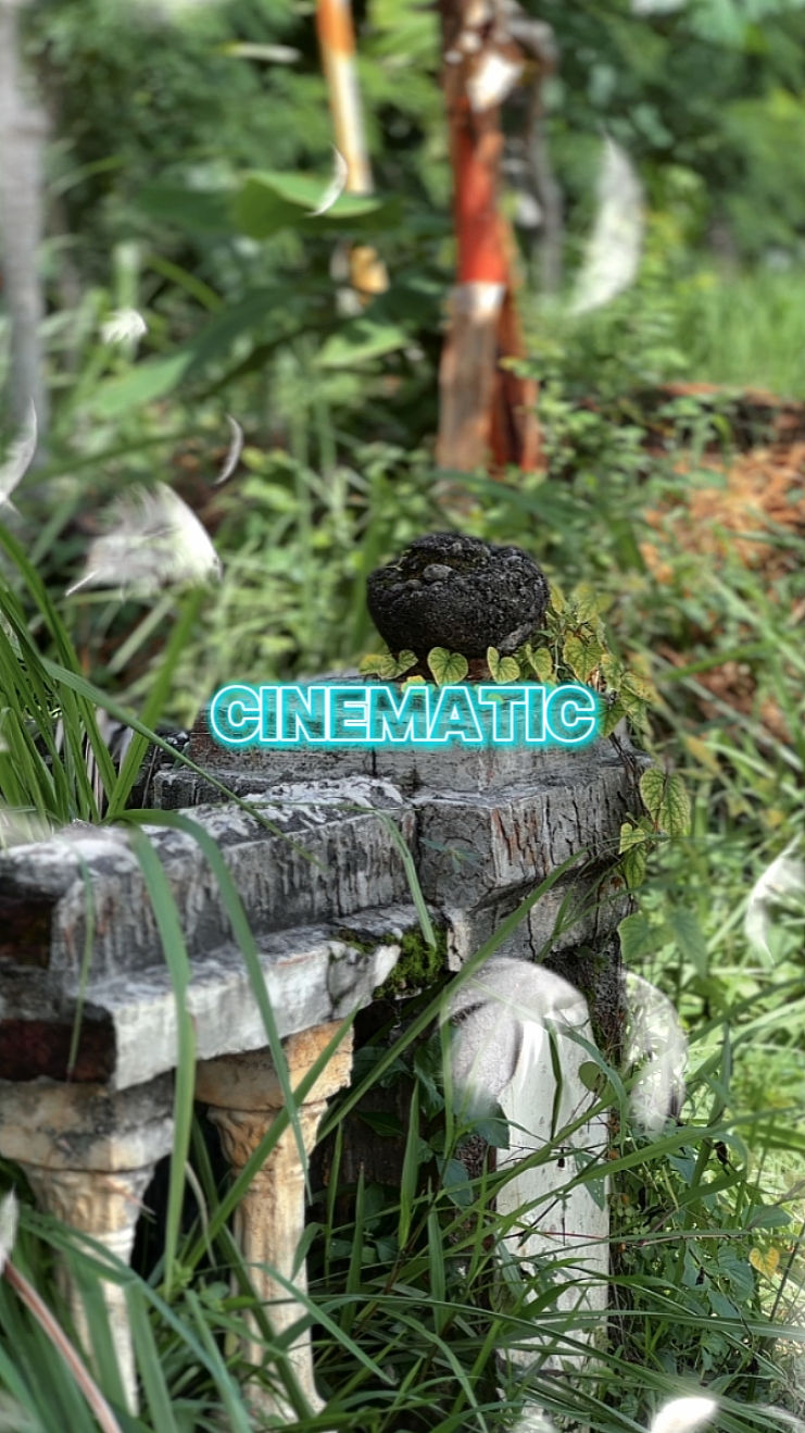 Cinematográfico 