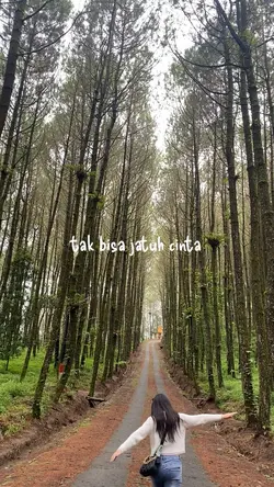Teh hijau - tulus
