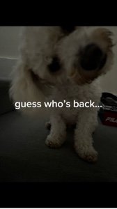 guess who’s back..