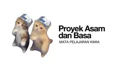 imtro kucing brazil