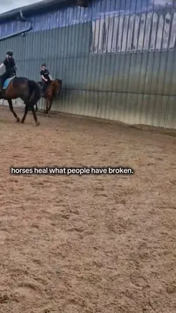 horses heal everythi