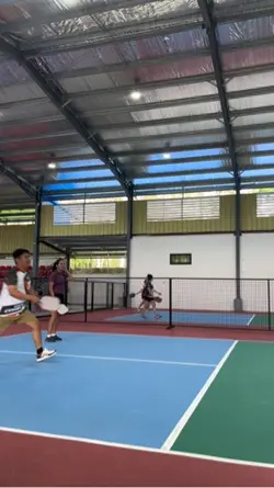 Pickle ball