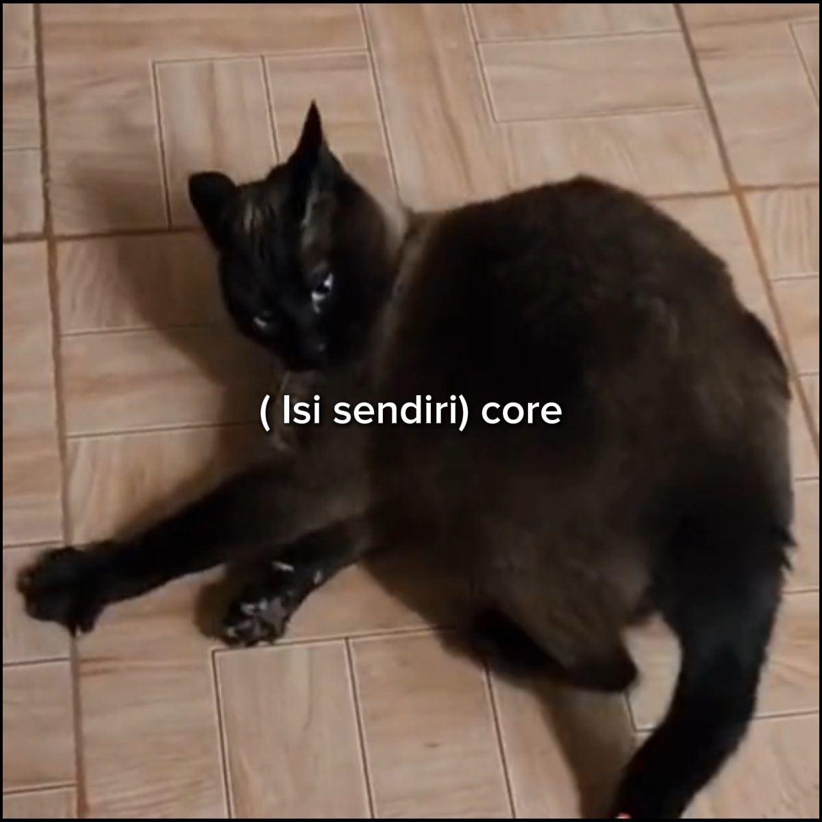 Core