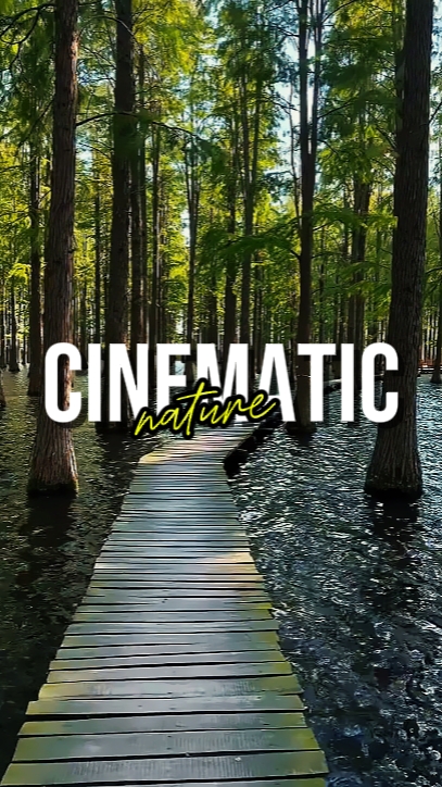 NATURE CINÉMATIQUE