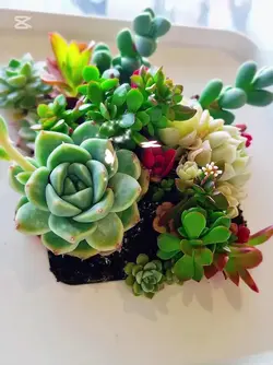 작품뽐내기