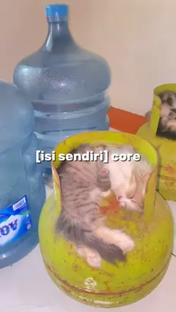 core 2 video