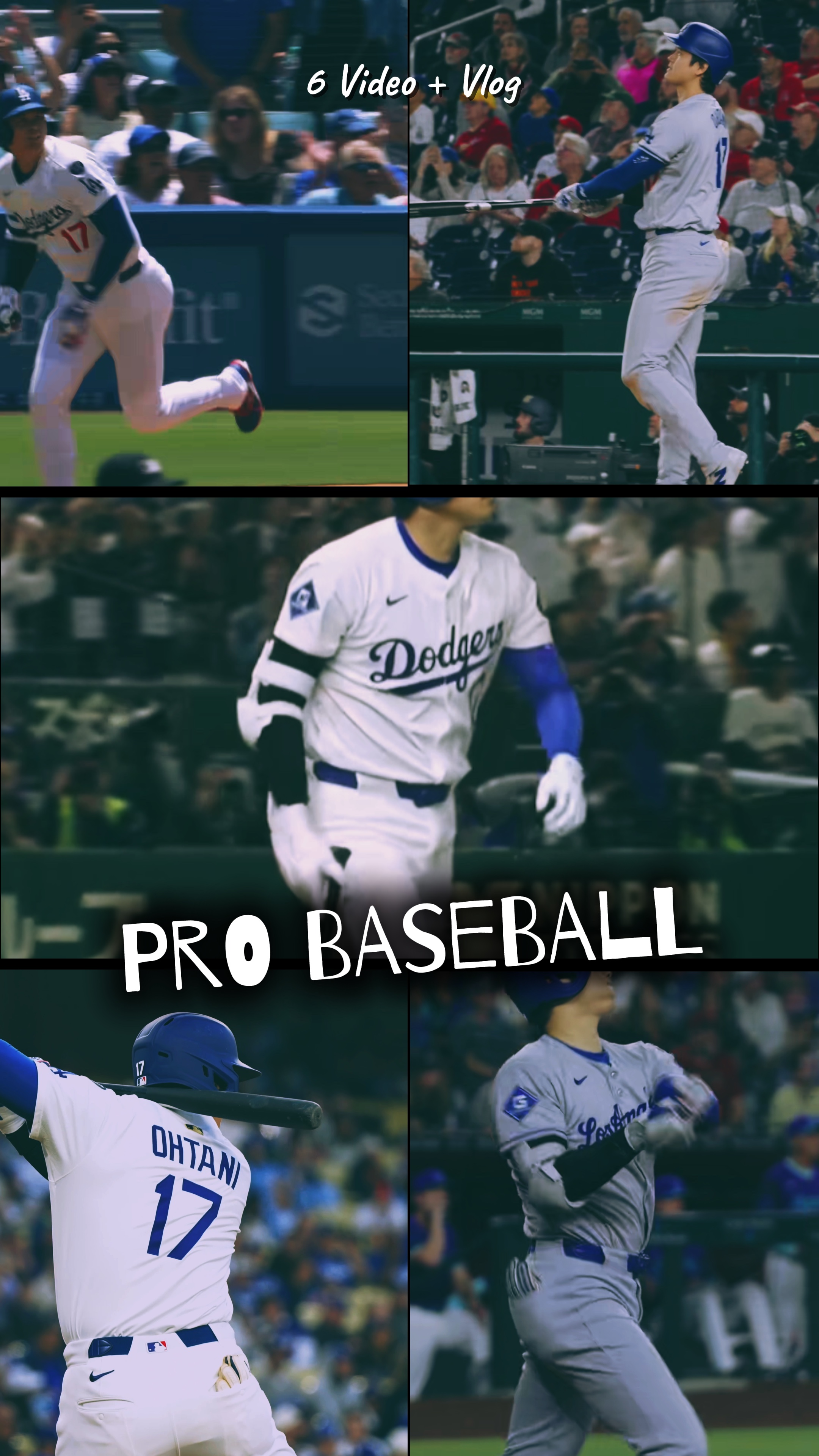 BÉISBOL PROFESIONAL