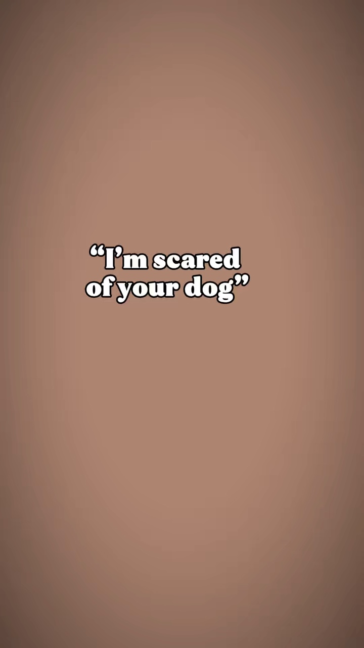 Tu perro 
