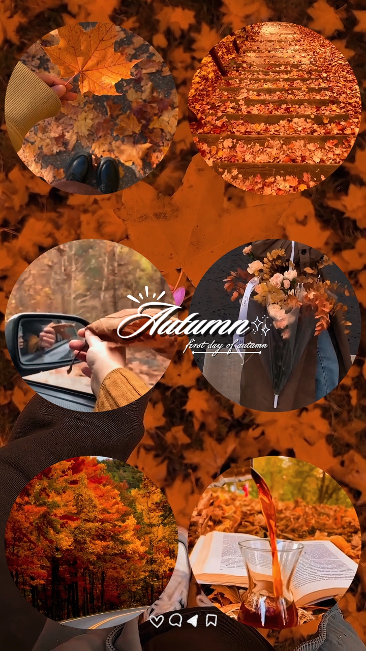 First Day Of Autumn