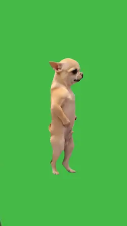 Michael jackson dog