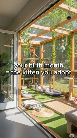 birth month kitten