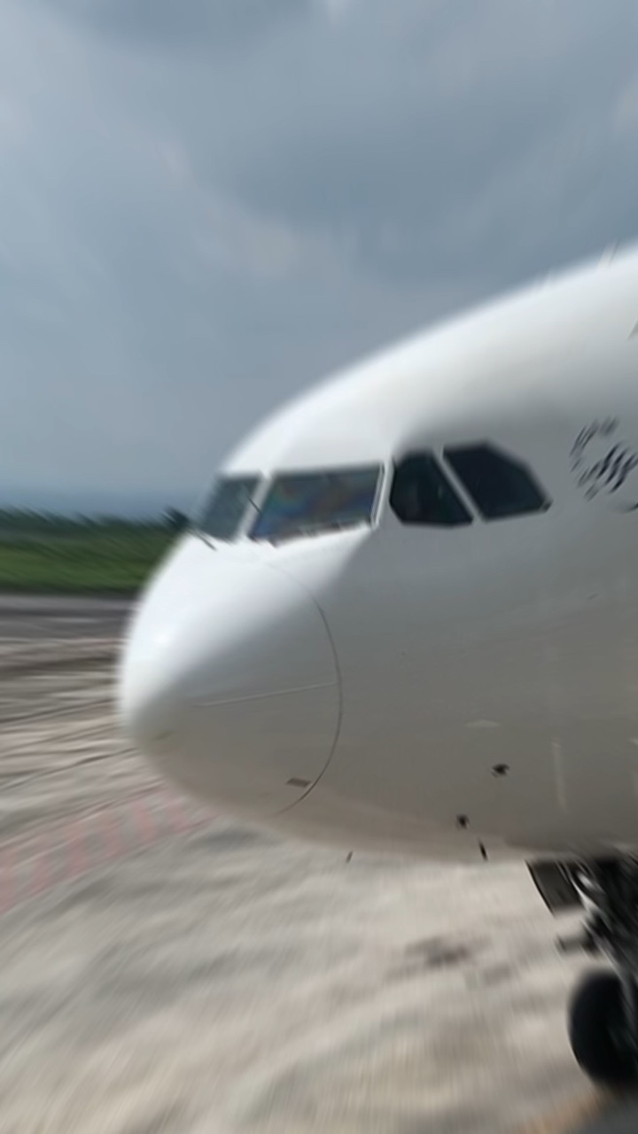 Vuelo de Verano