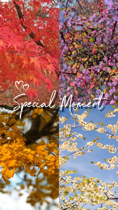 Special moment