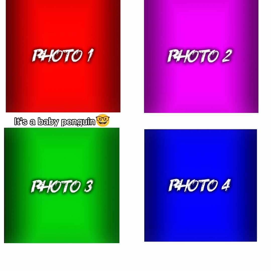 NEUER EDIT-MASTER