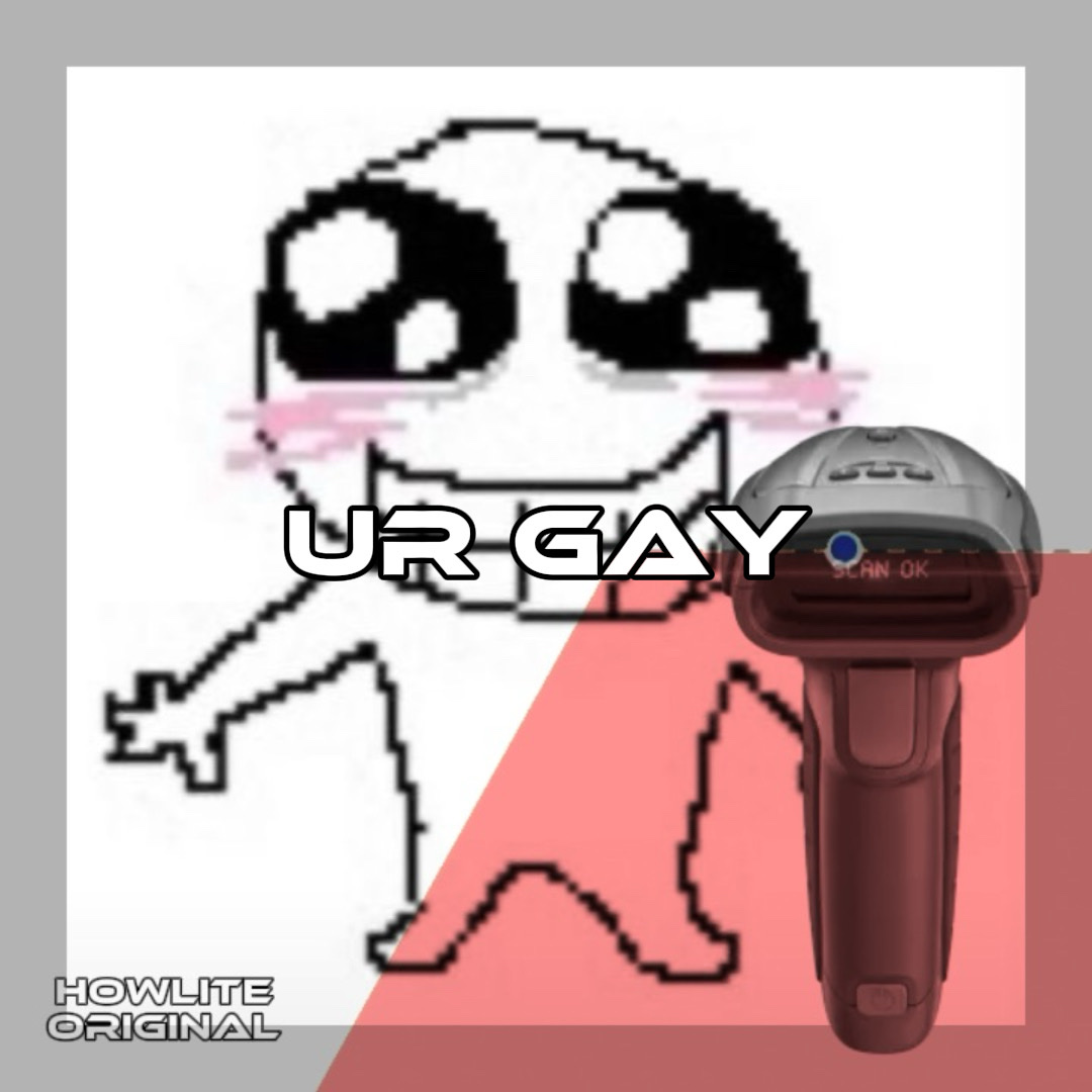 Vc é gay 