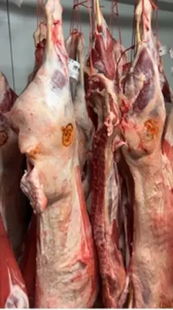 Meat Advertising 