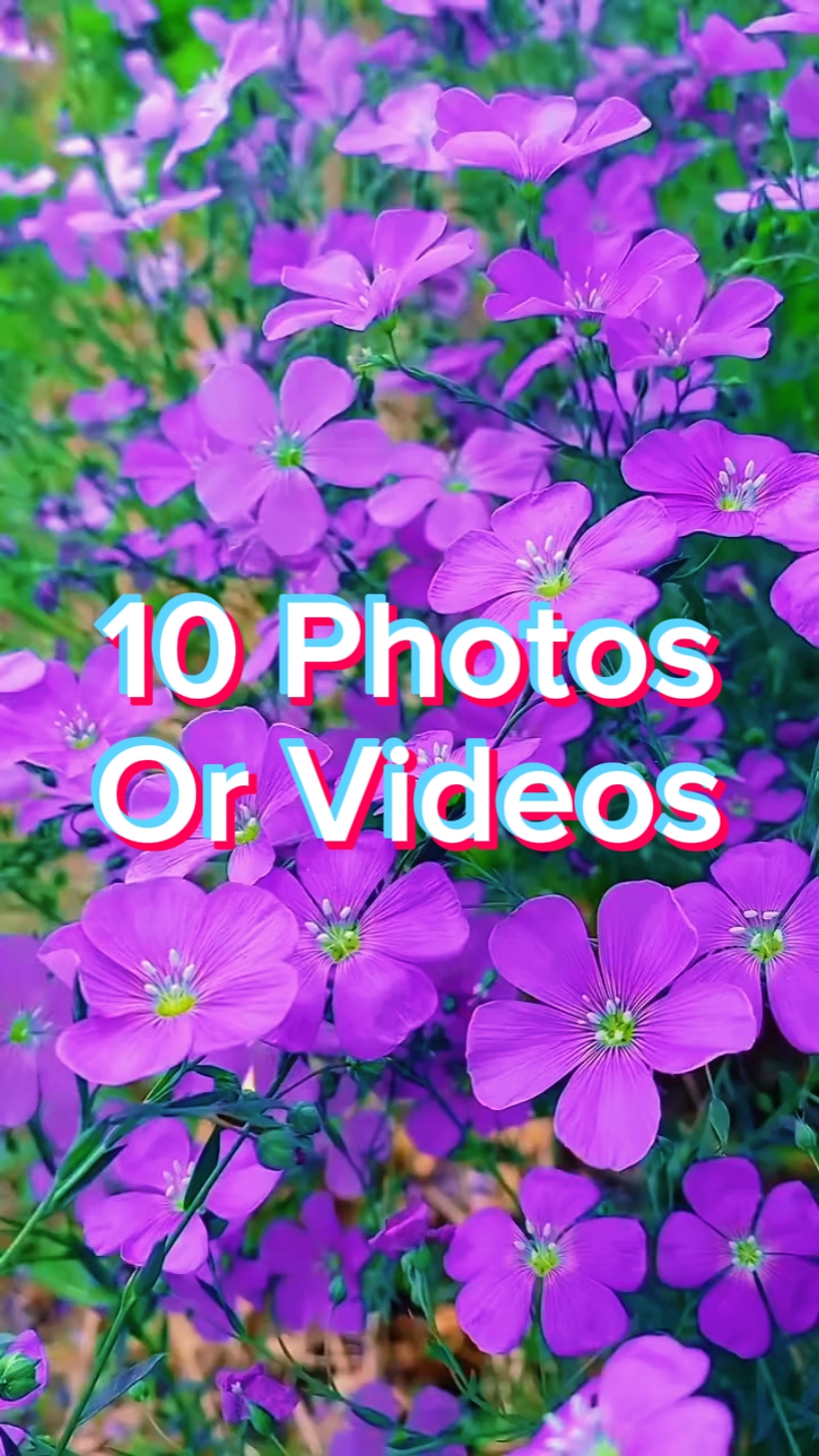 10 Photo Slides